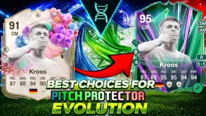 Pith Protecto Evolution and More