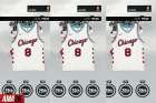 Chicago Bulls City Edition Jersey Icon - NBA 2K17